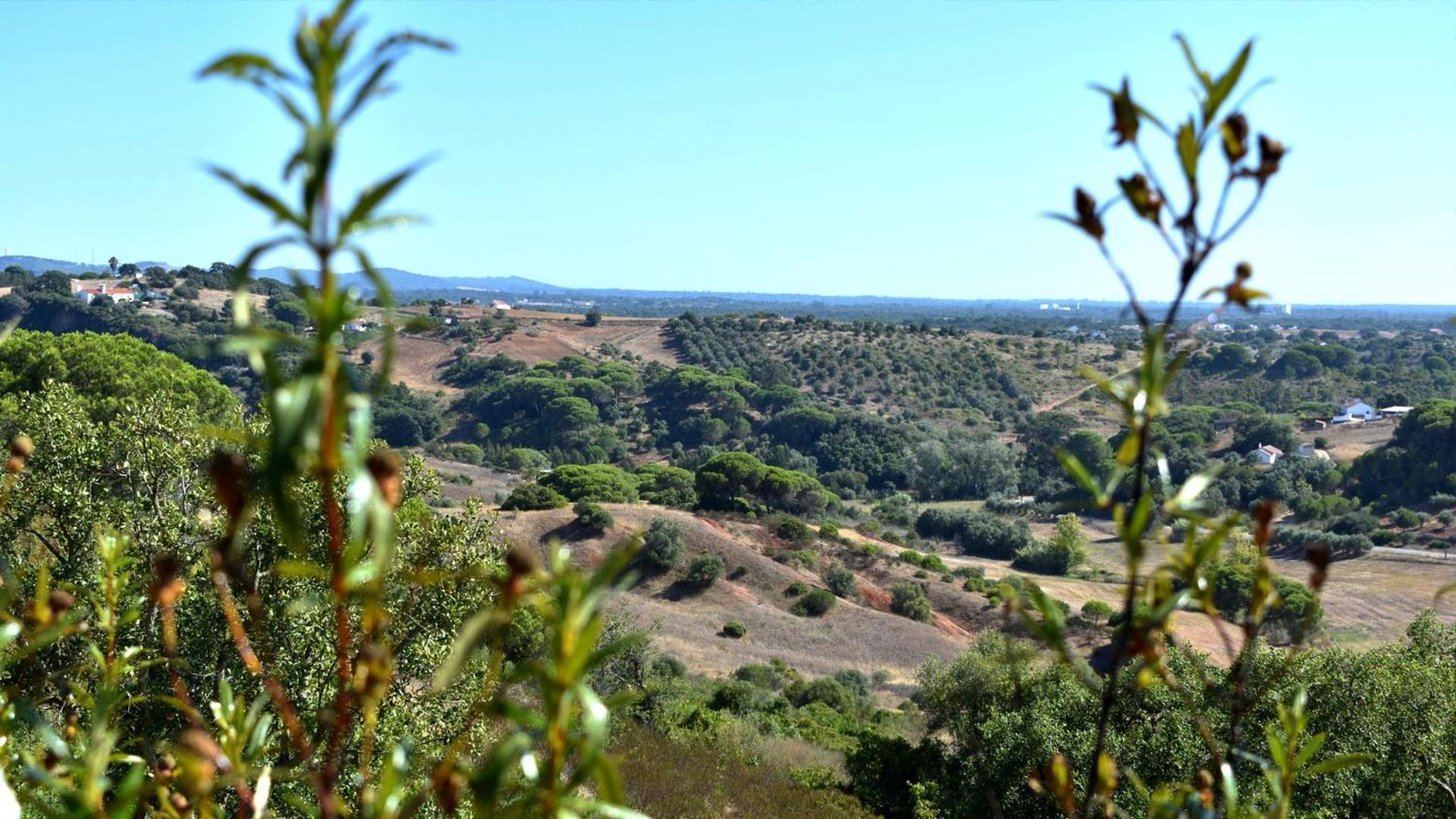 Monte Sardinha