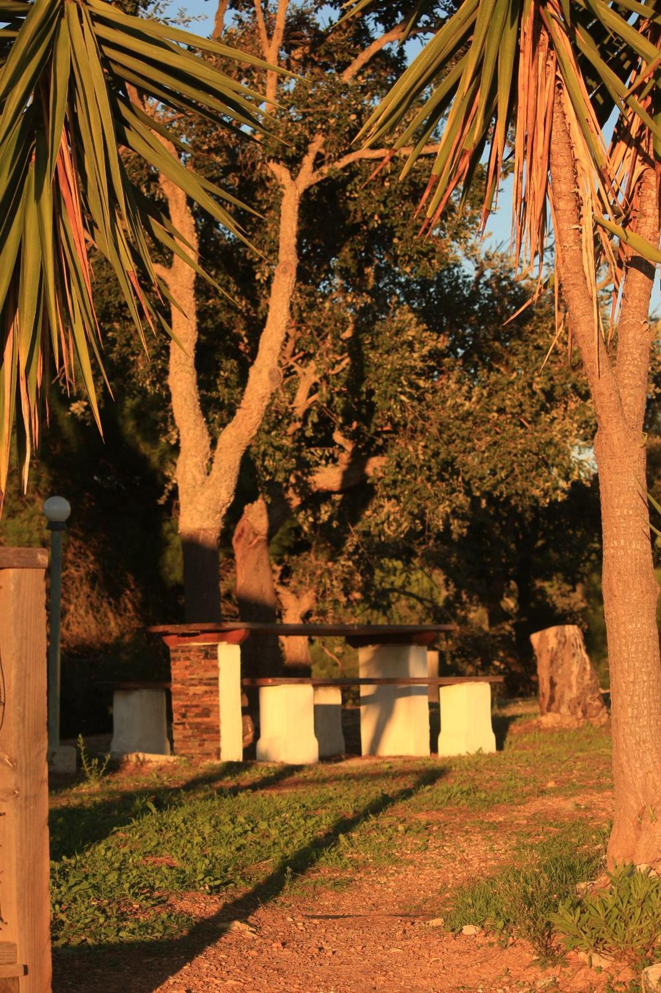 Monte Sardinha *