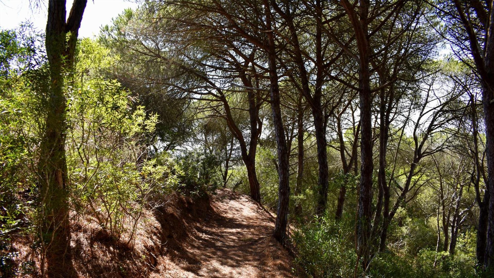 Country house Monte Sardinha Santiago do Cacem